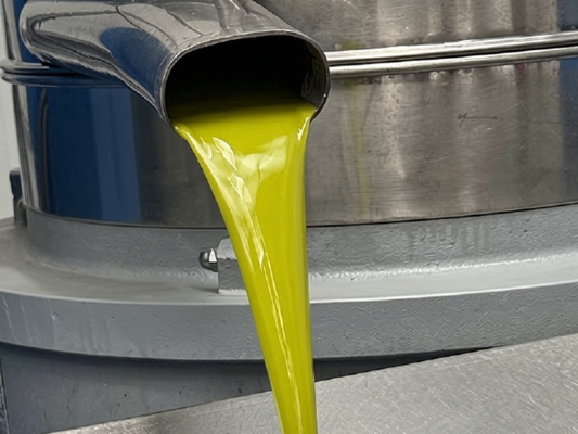 Freshly extracted 2025 harvest olive oil at the mill in València, Spain