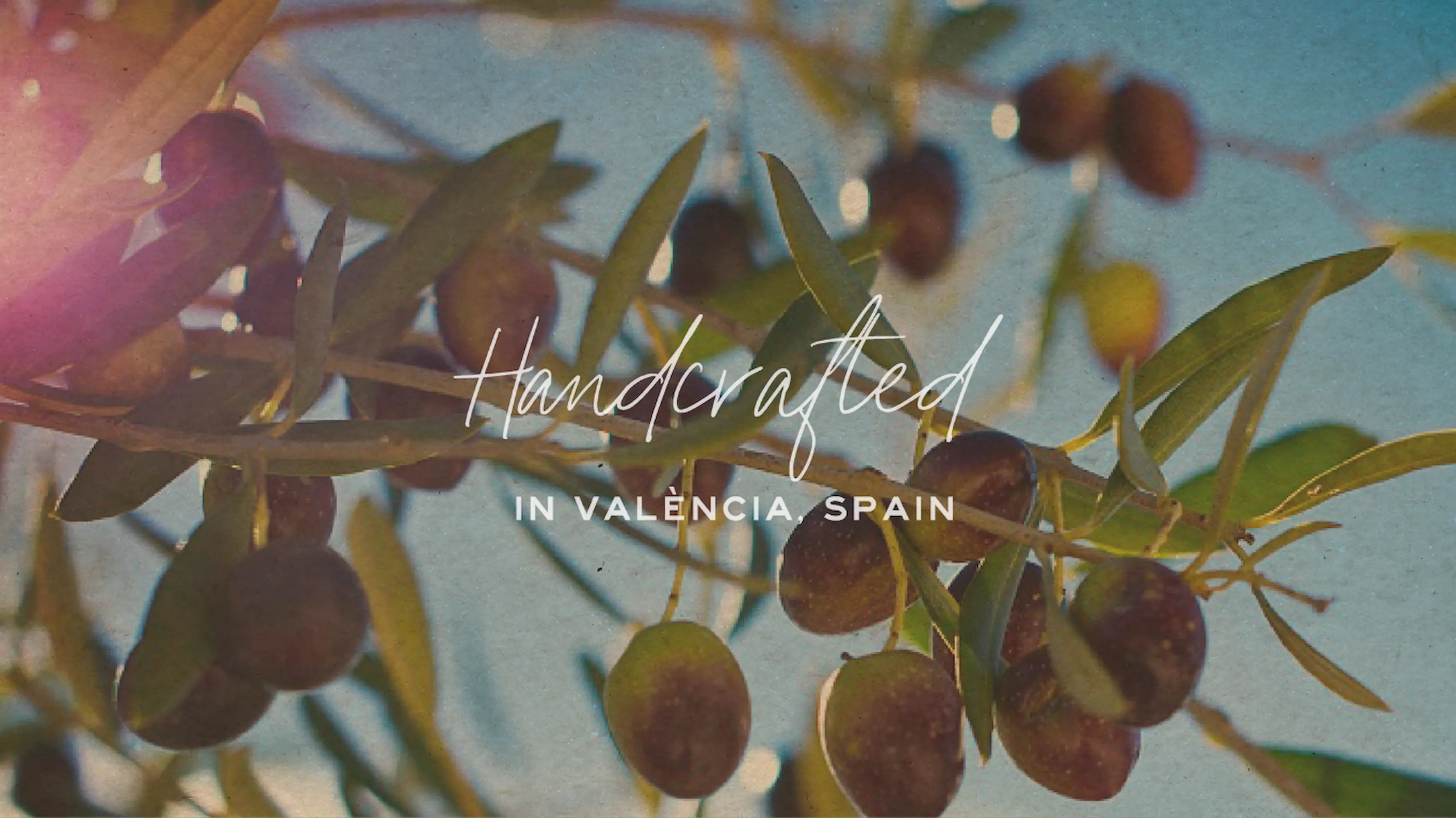 Close-up of olive branches with green leaves and dark olives against a blue sky, with overlaid text reading 'Handcrafted' and 'IN VALENCIA, SPAIN'.